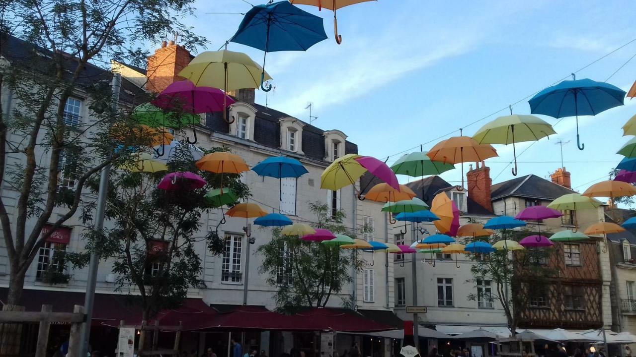 Vernantes Saumur Loire Chambres Et Gite المظهر الخارجي الصورة