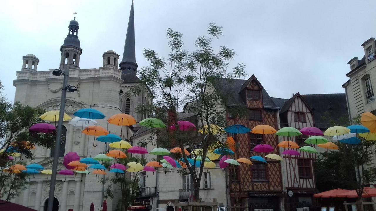 Vernantes Saumur Loire Chambres Et Gite المظهر الخارجي الصورة
